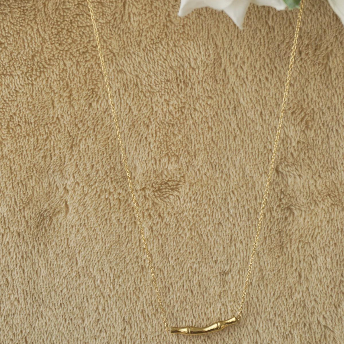 Collar Pia